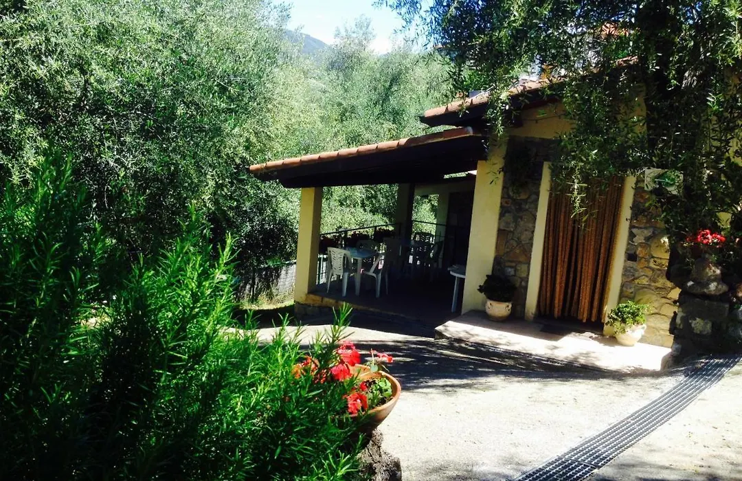 Casa vacanze Uliveto-1